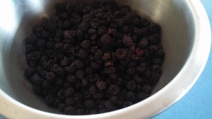 Black Raspberries