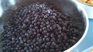 Big Bowl o' Blueberries