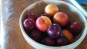 A Tempting Bowl of Fruit