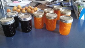 Blueberry and Apricot Jam