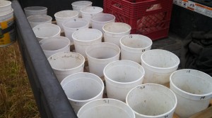 Tubs O' Soil Samples