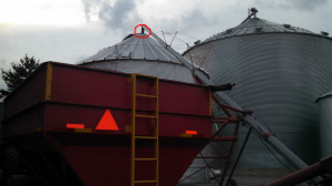 Unloading Wheat