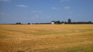 Harvested Field