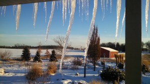 Day Icicles